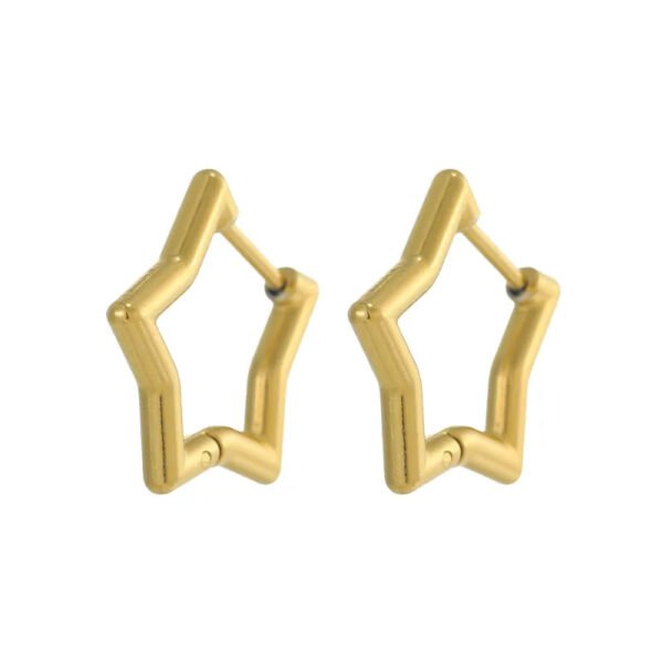 Versatile Fashion High-End Simple Everyday Versatile Light Luxury Metallic Titanium Steel Vacuum Electroplated (Furnace) Star Heart-Shaped Earrings