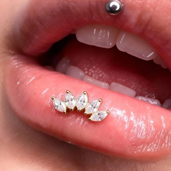 picture_b81b6da3-b049-4fe3-8b1b-9b08df356941(2) Satan's Child Piercing Mermaid Lip Stud Titanium Alloy Stud Sweet Cool Hot Girl Piercing Titanium Alloy Zircon Lip Ring Titanium Alloy Jewelry