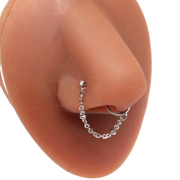 picture_b9f7732d-07f7-4977-9878-2292d710f93a(2) Stainless Steel Nose Studs Butterfly Chapter Heart Shaped Style Fashionable Jewelry Accessory For Men And Women