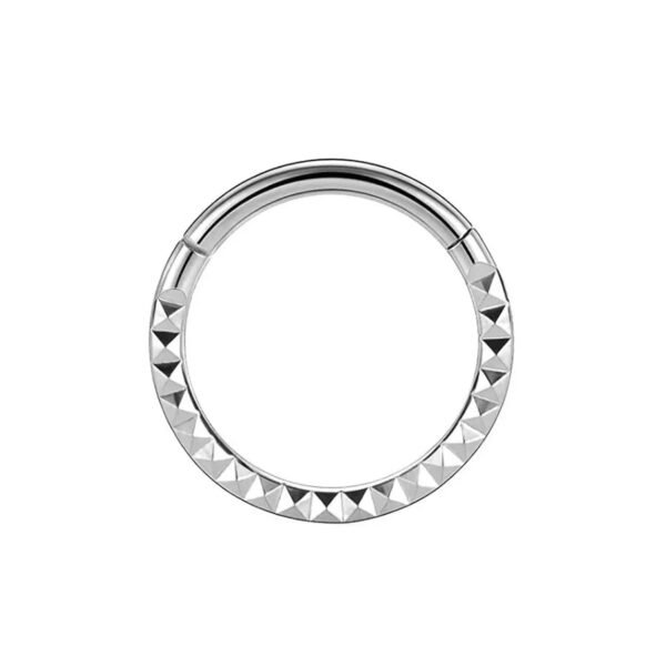 F136 Titanium, Nose, Ring, Geometric, Ear, Hoop, Clicker, Helix, Snug, Rook, Daith, Septum, Lobe, Rose, Gold, Detailed