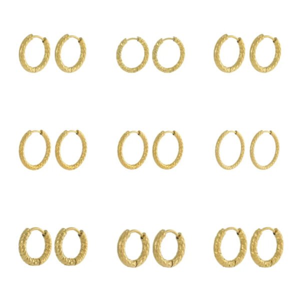 Versatile Fashion Exquisite Simple Daily Light Luxury Niche High-End Plain Hoop Titanium Steel Vacuum Electroplated Earrings