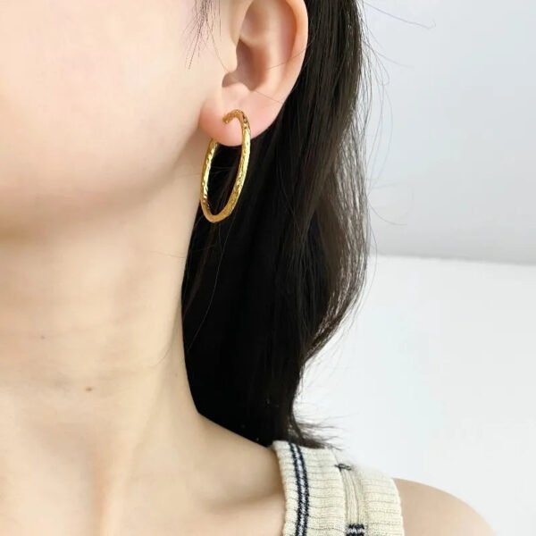 Versatile Fashion Exquisite Simple Daily Light Luxury Niche High-End Plain Hoop Titanium Steel Vacuum Electroplated Earrings
