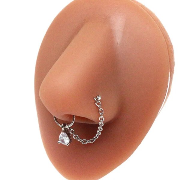 picture_c05361d5-c782-4591-a459-1e4174105b9f(2) Stainless Steel Nose Studs Butterfly Chapter Heart Shaped Style Fashionable Jewelry Accessory For Men And Women