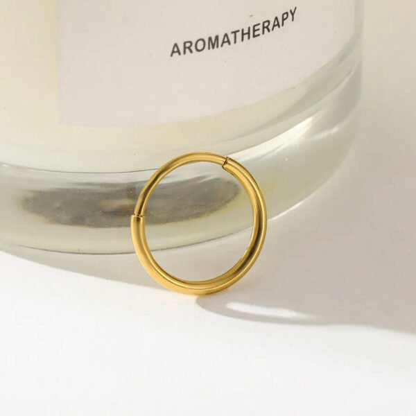 Titanium Alloy, 18k Gold Plated, Geometric Pattern, Nose, Ear, Ring, Hoop, Piercing, Small, Neat, Section, Earring, Dainty