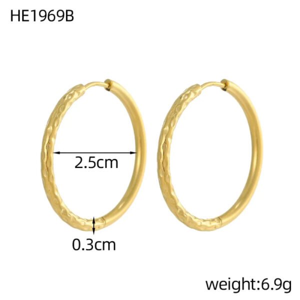 Versatile Fashion High-End Simple Everyday Versatile Light Luxury Metallic Titanium Steel Vacuum Electroplated (Furnace) Star Heart-Shaped Earrings