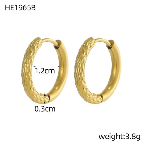 Versatile Fashion High-End Simple Everyday Versatile Light Luxury Metallic Titanium Steel Vacuum Electroplated (Furnace) Star Heart-Shaped Earrings