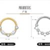 picture_ca907ccc-ac62-4c9c-b243-db882d5c7042(2) Titanium Alloy G23 Nose Ring Jewelry Women's Body Piercing Zircon Earrings Hoops Fashionable Unisex
