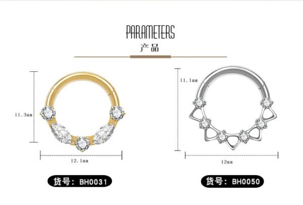 picture_ca907ccc-ac62-4c9c-b243-db882d5c7042(2) Titanium Alloy G23 Nose Ring Jewelry Women's Body Piercing Zircon Earrings Hoops Fashionable Unisex