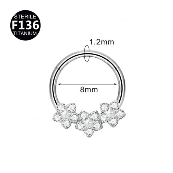 picture_d8a75ef6-1268-4b54-b8a5-b59b0e84c060(2) Luxury Titanium Alloy Hexagonal Flower Nose Ring Ear Ring Body Piercing Jewelry Geometric Pattern Unisex Fashion Accessories