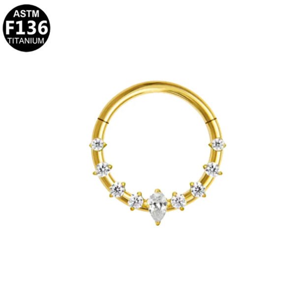 G23 Titanium, F136 Titanium Alloy, Inlay, Zircon, 14K Gold Plated, White Gold, Ear, Cartilage, Conch, Nose, Septum, Ring, Elegant, Glam, Snowflake.