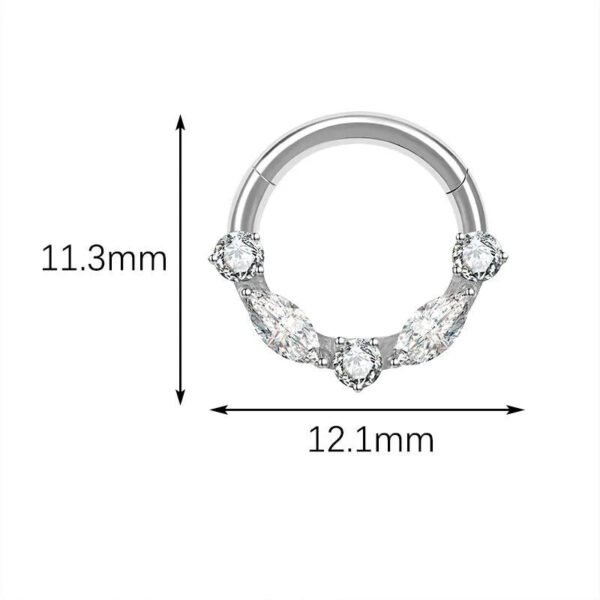picture_e40d71e0-0089-4427-ab8c-19909aca04a0(2) Titanium Alloy G23 Nose Ring Jewelry Women's Body Piercing Zircon Earrings Hoops Fashionable Unisex