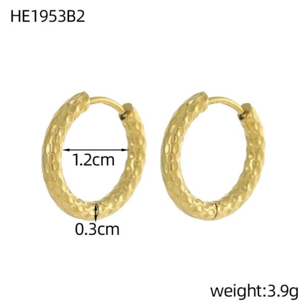 Versatile Fashion Exquisite Simple Daily Light Luxury Niche High-End Plain Hoop Titanium Steel Vacuum Electroplated Earrings